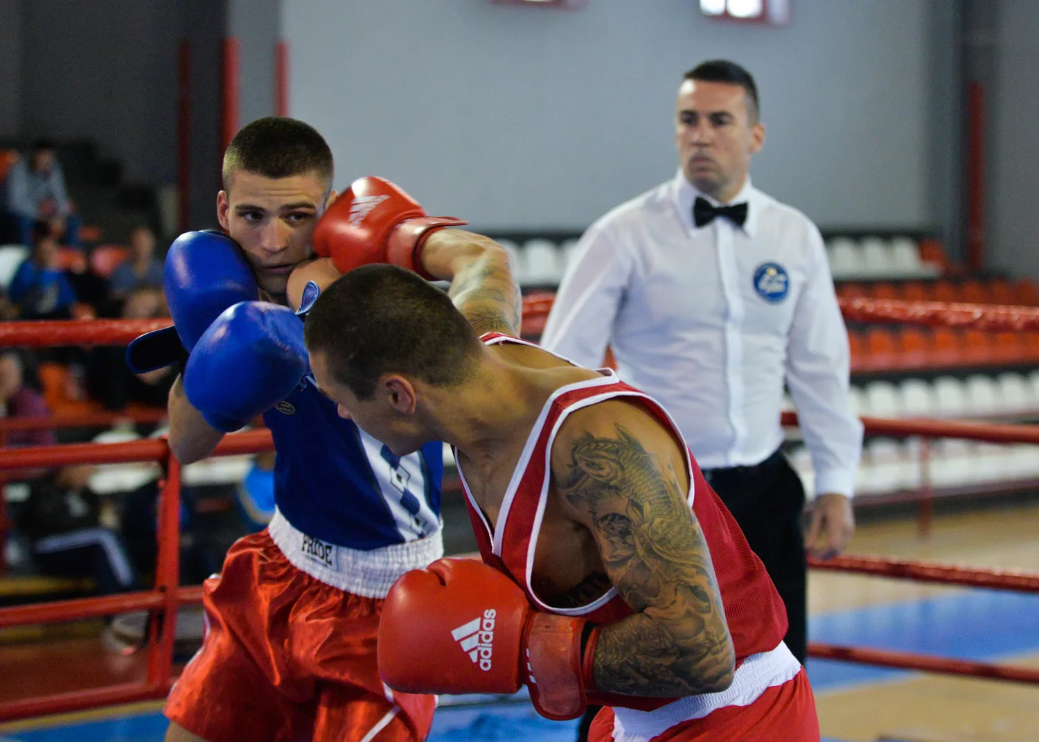 Naissus-Radnicki-Beograd-boks-1-foto-Juzne-vesti-Vanja-Keser