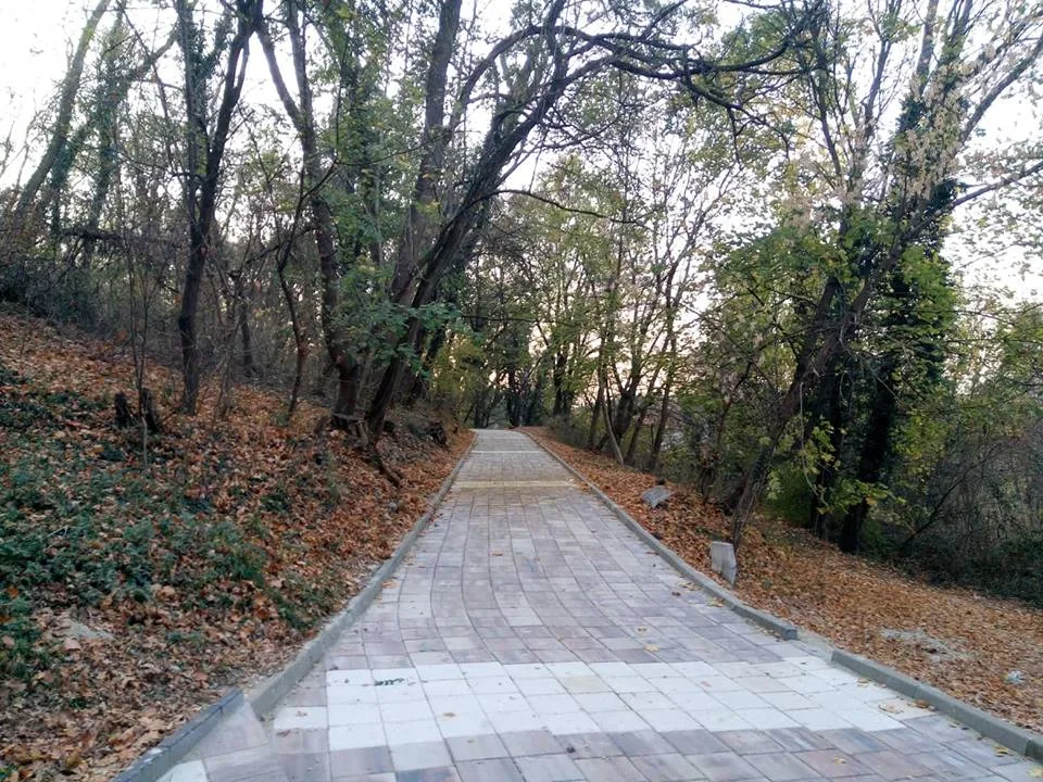 Staze zdravlja V Milic