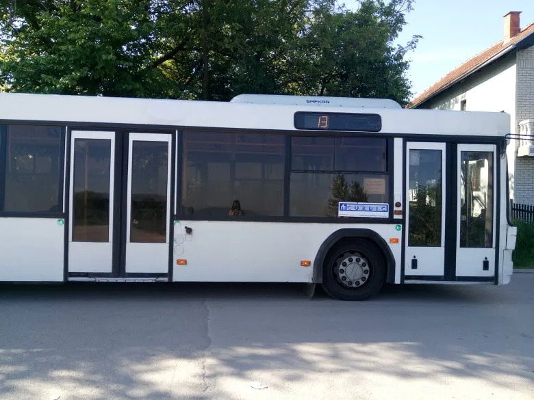 Autobus Curdic Foto V Milic