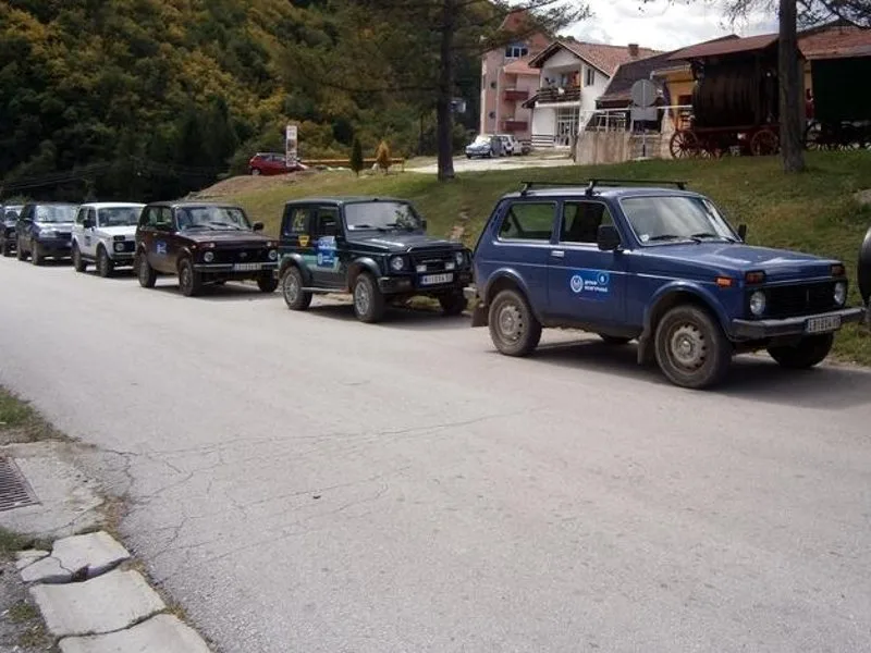dzipovi jv