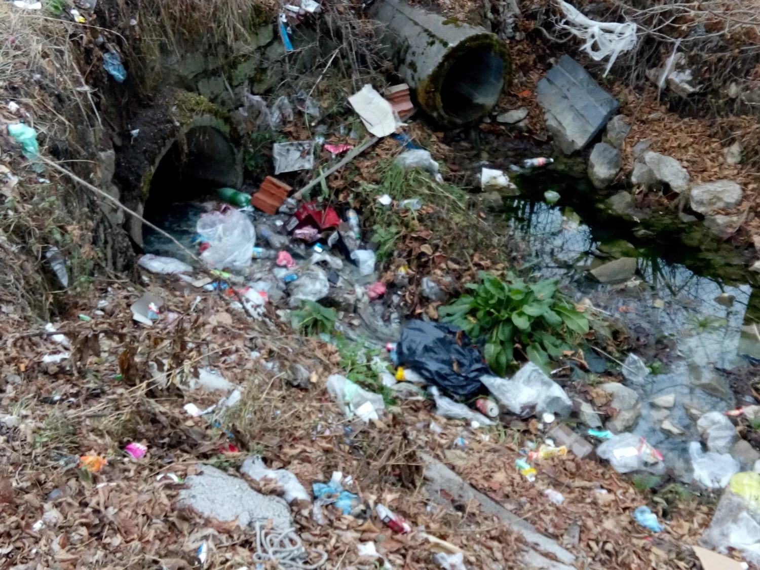 deponija centar foto citalac
