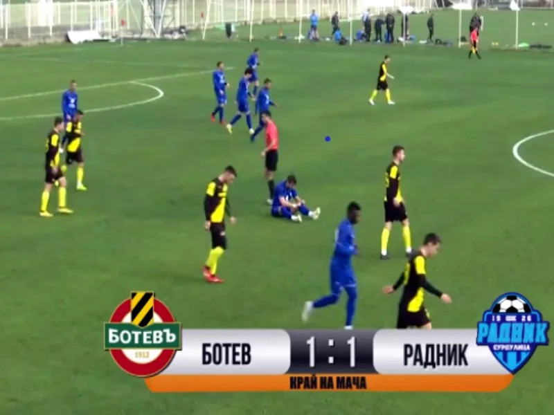Radnik Botev foto print screen