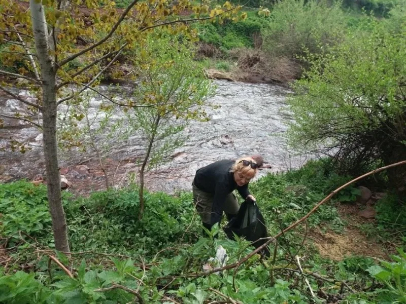 sakupljanje djubreta foto N R