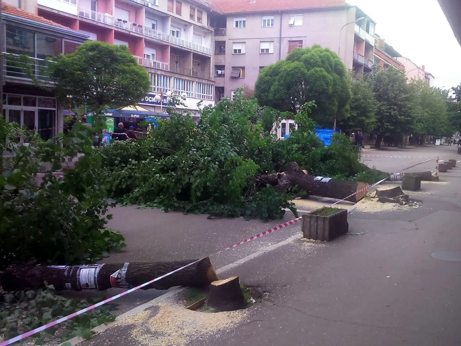 Seca stabala u Aleksincu novo foto I D