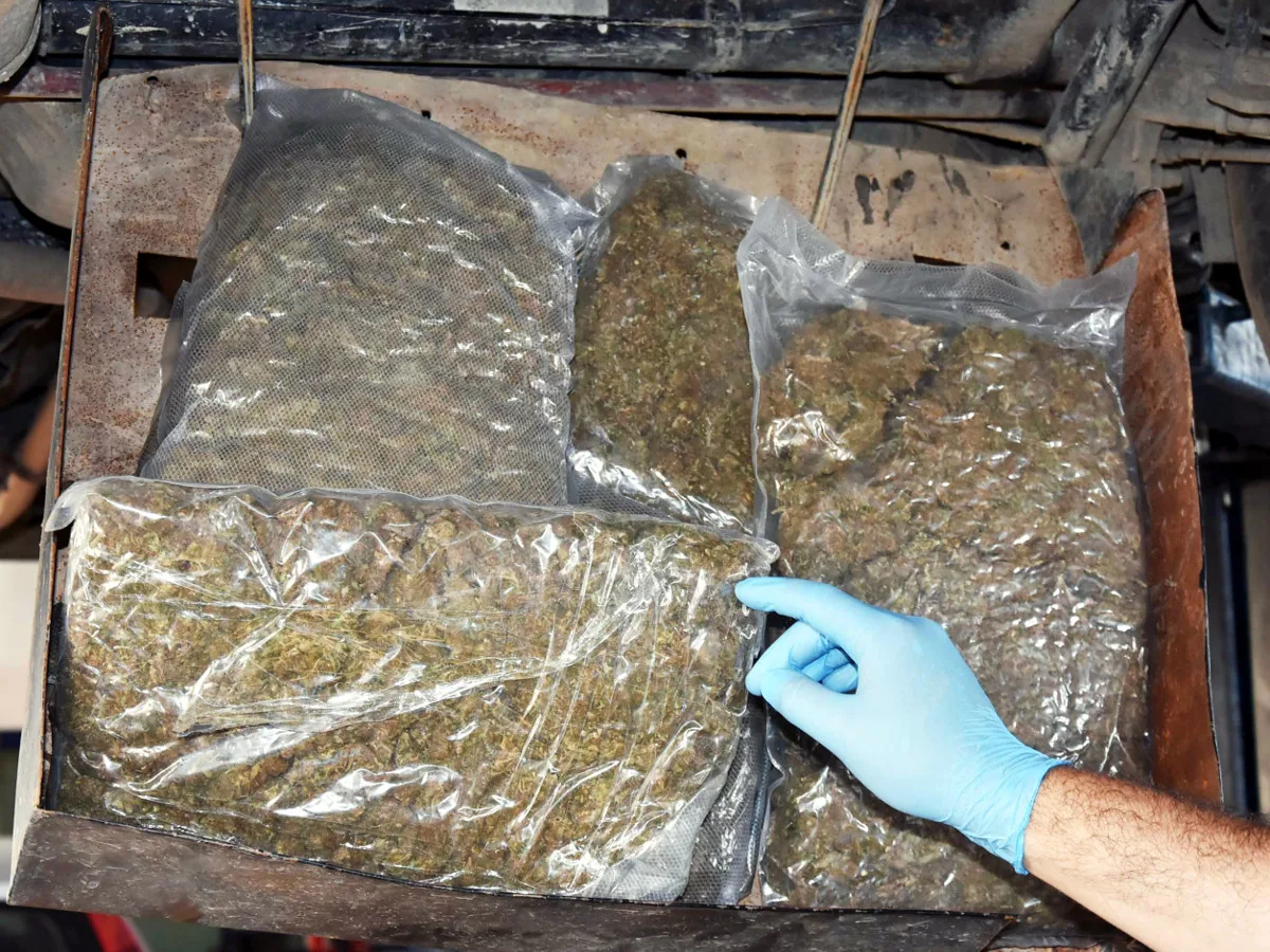 marihuana foto pu nis