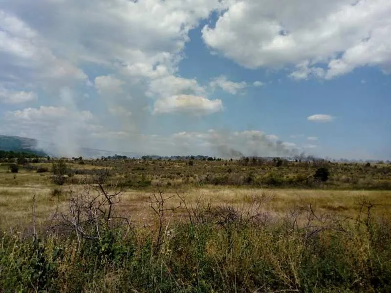 pozar foto citalac