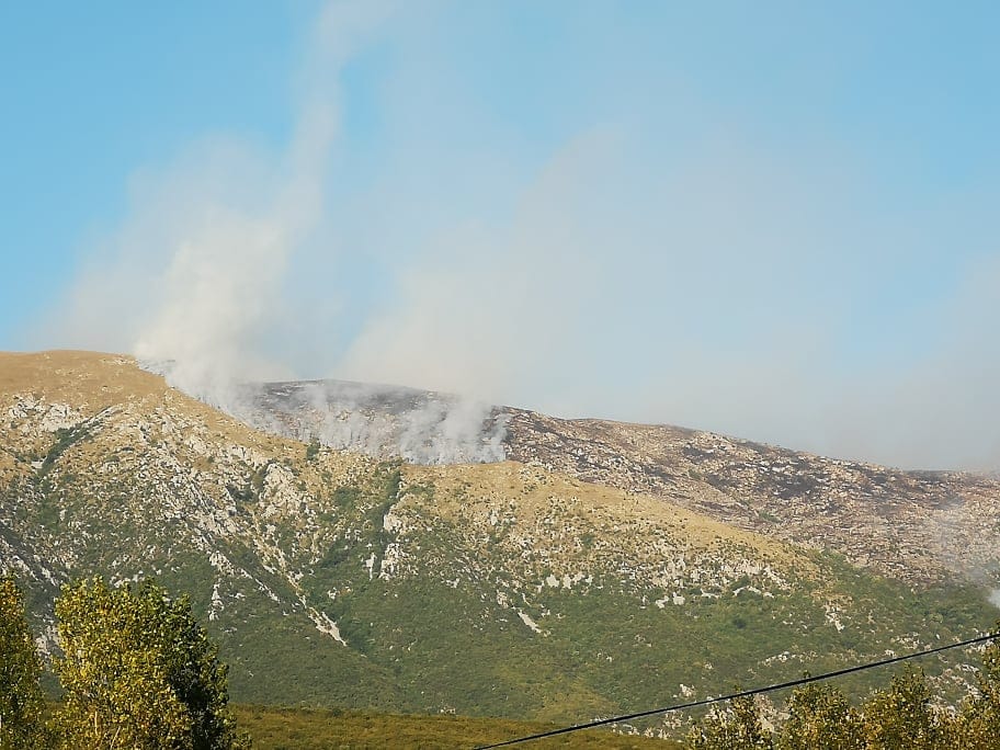 vatra foto dp