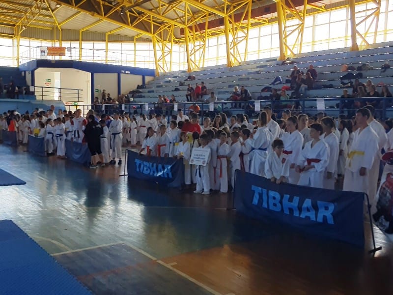 karate turnir u prokuplju