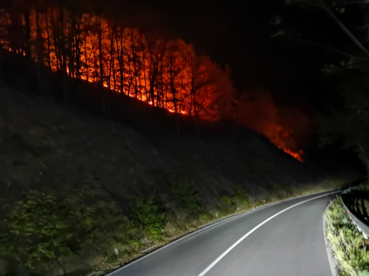 Pozar regionalni put Nis Babusnica foto D S