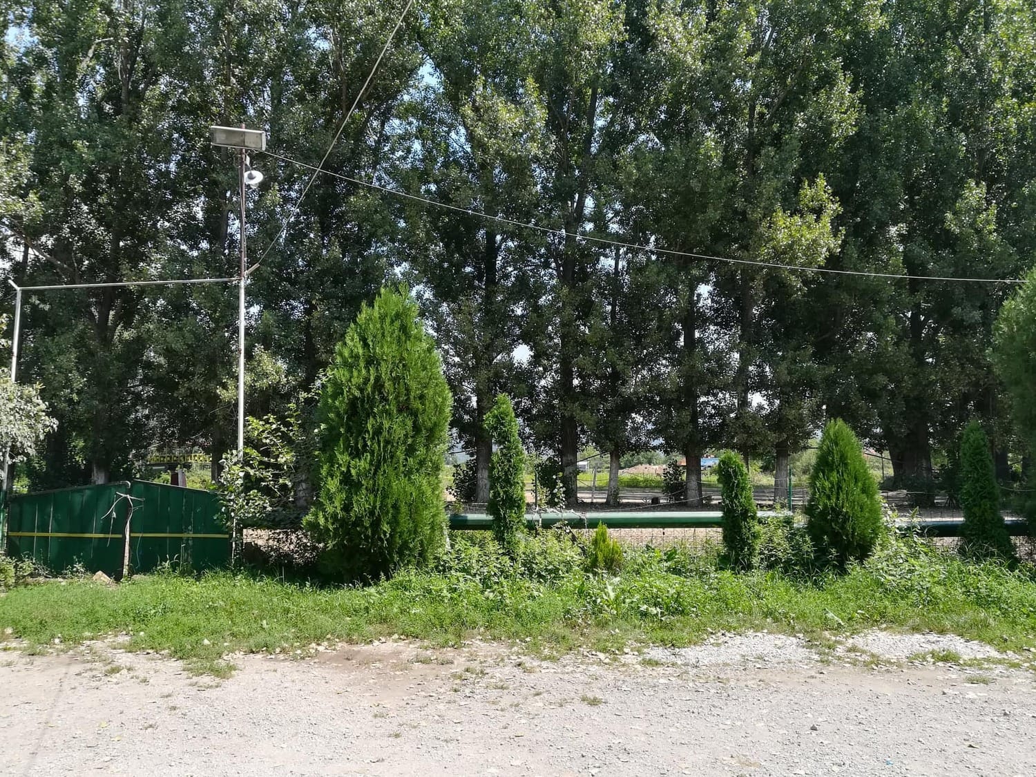Konjicki klub Cegar7 avgust 2018 foto JV J A