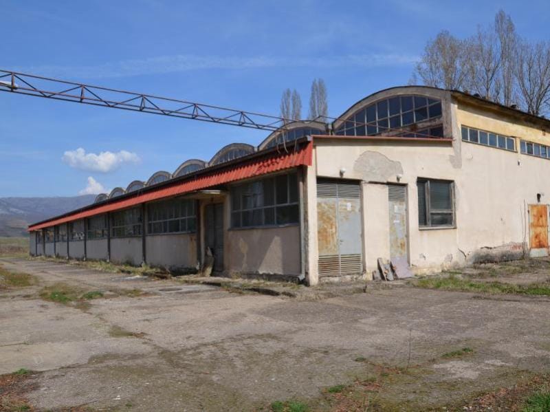 hala foto siepa