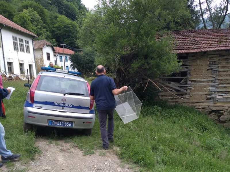 kutija rakita foto Lj F