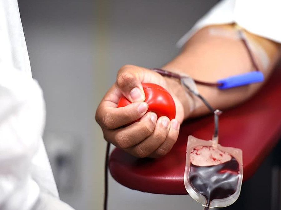 donor foto pikist