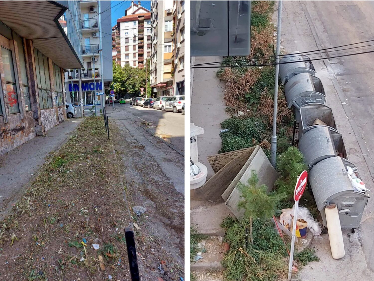 Raskrnica Ucitelj Tasina i Rajiceva korov trava 1 foto citalac JKP Mediana scaled