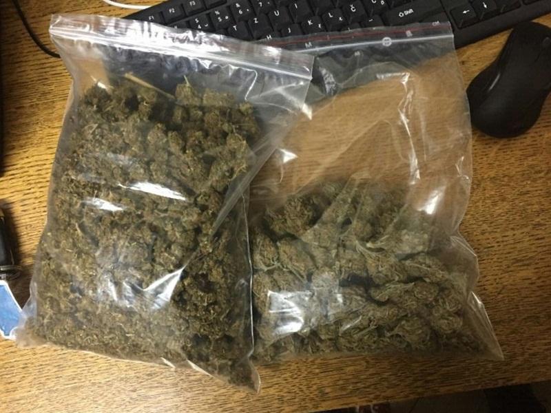 800x600 Marihuana foto PU Leksovac