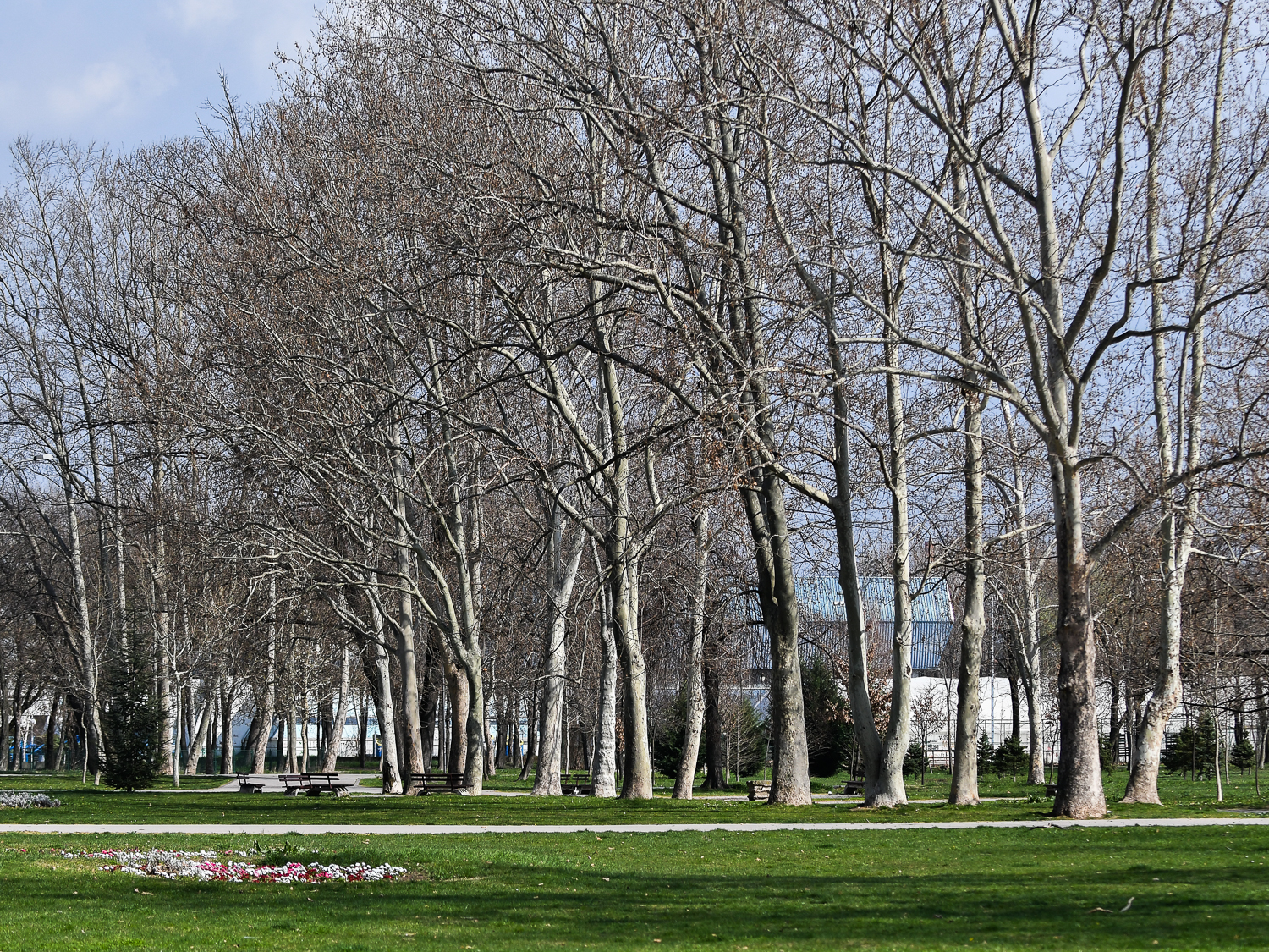 park2 foto vk