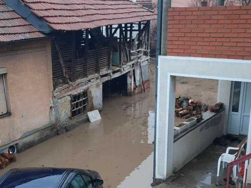 rogoz poplava citalac