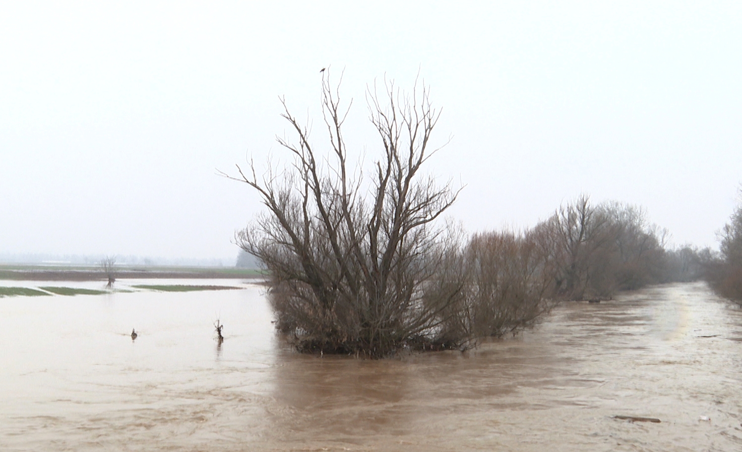 poplave foto vkeser