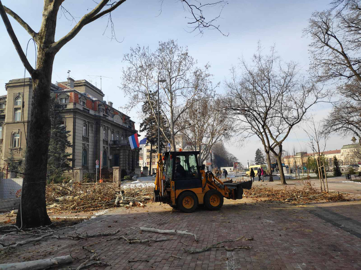 Seča drveća centar Niša, 16. februar 2021, slika7; foto: JV-T. Tasić