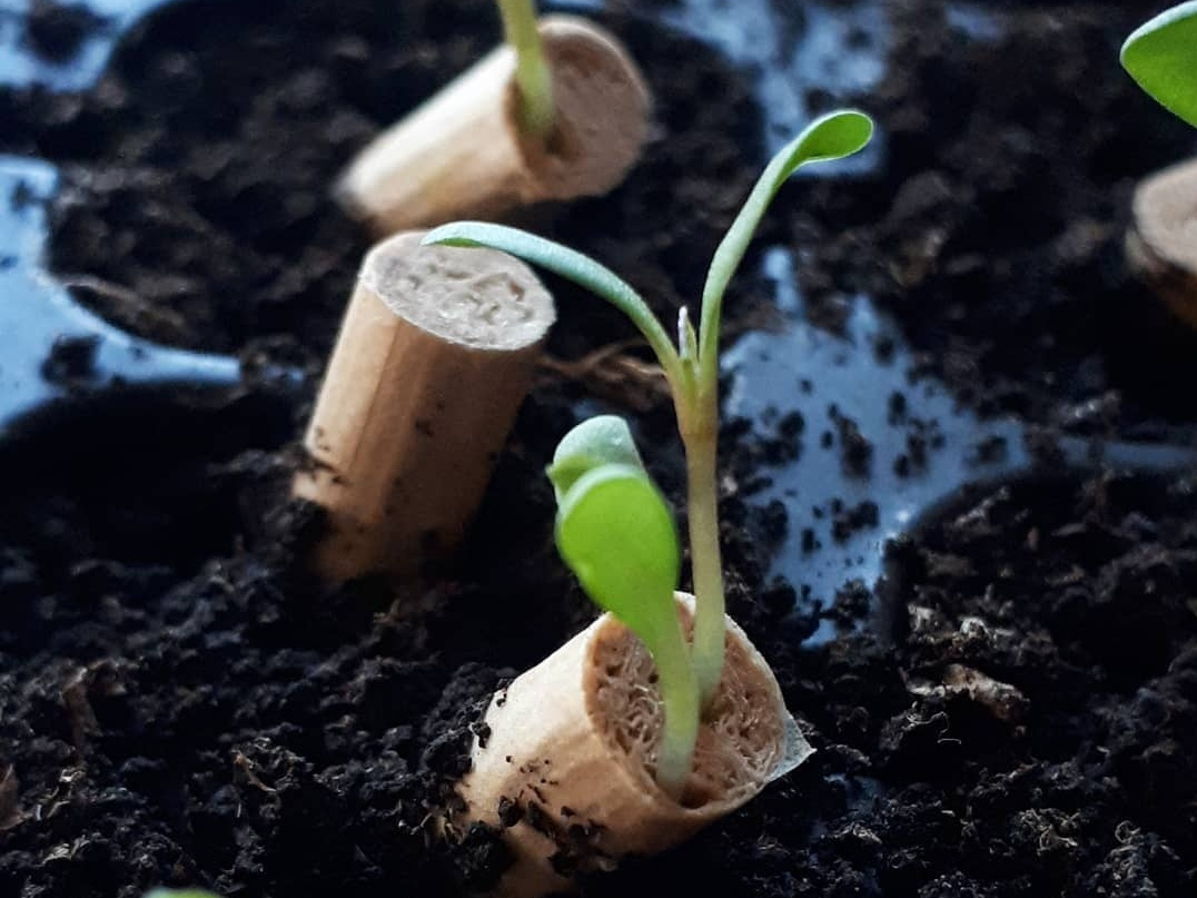 filteri foto insta