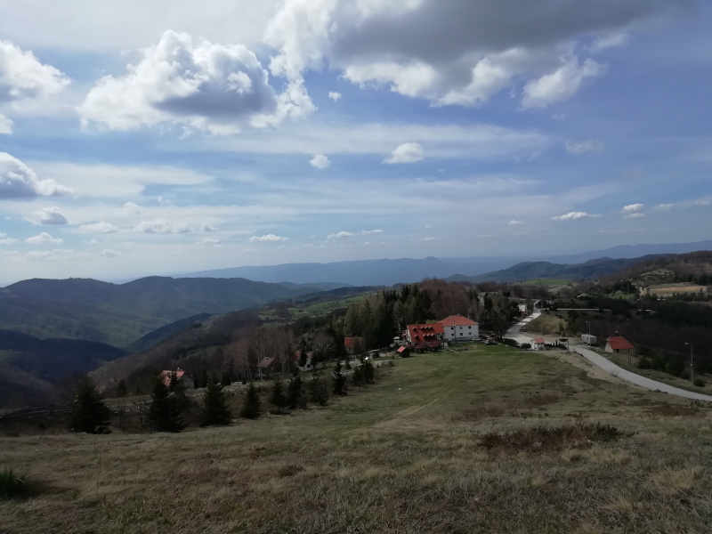 Besna Kobila