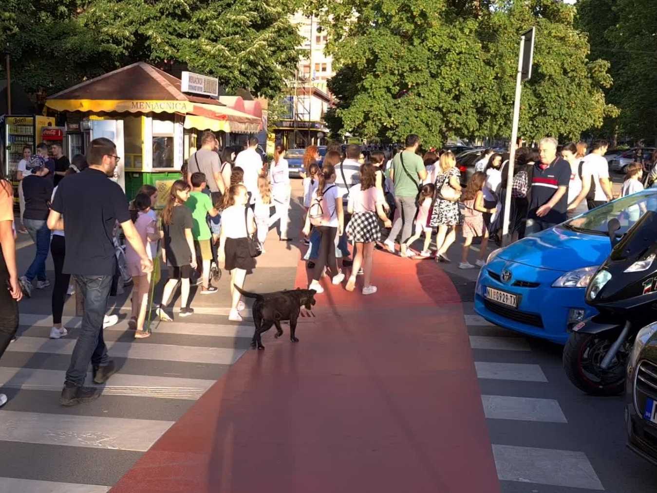 protest skola