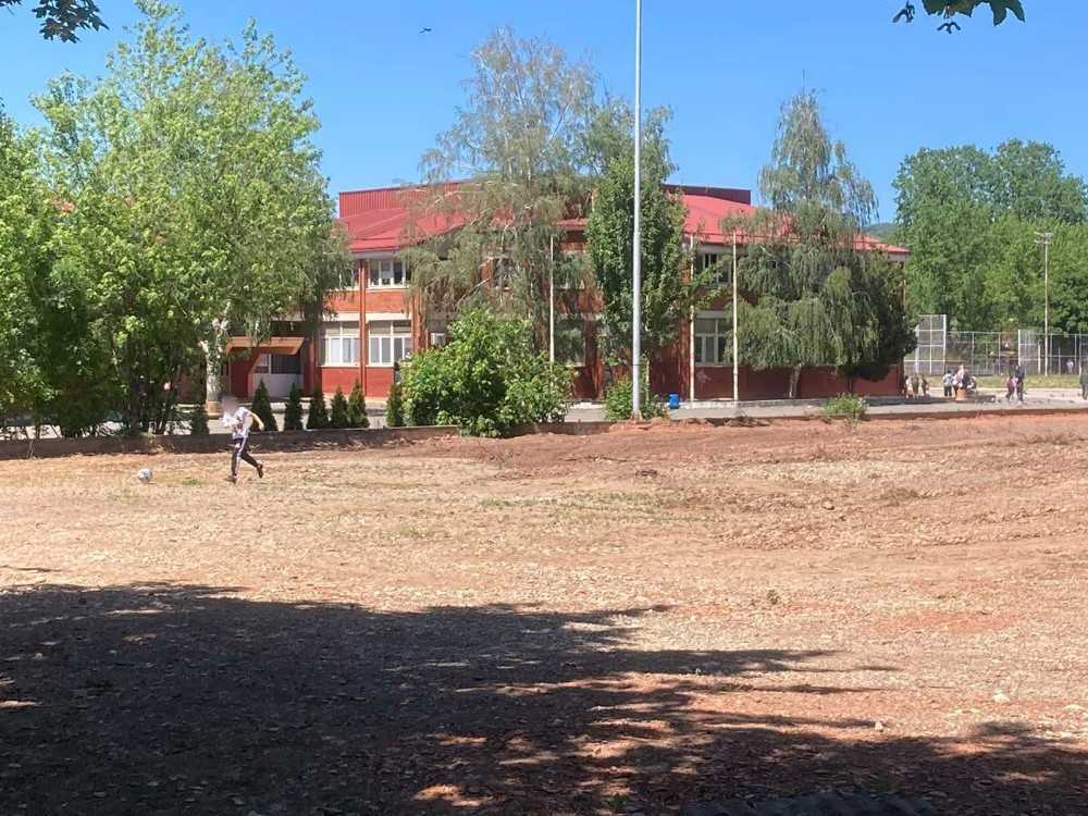 skolaaa