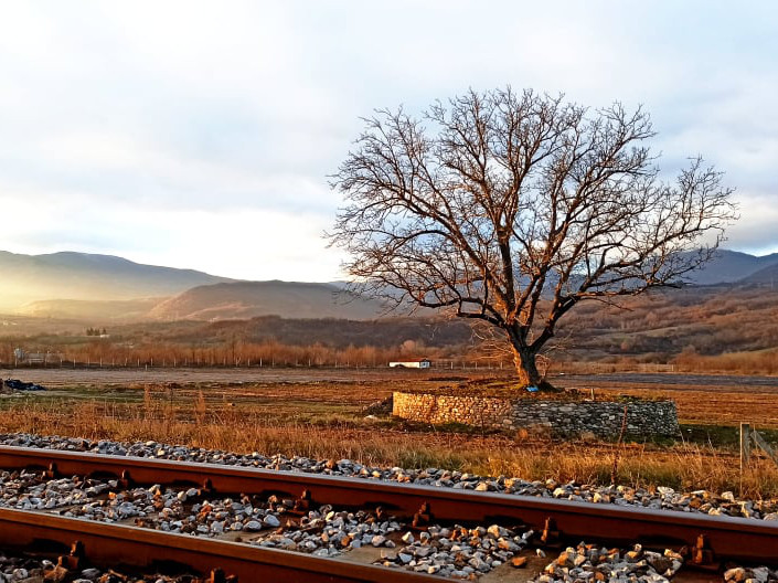 Naslovna fotografija