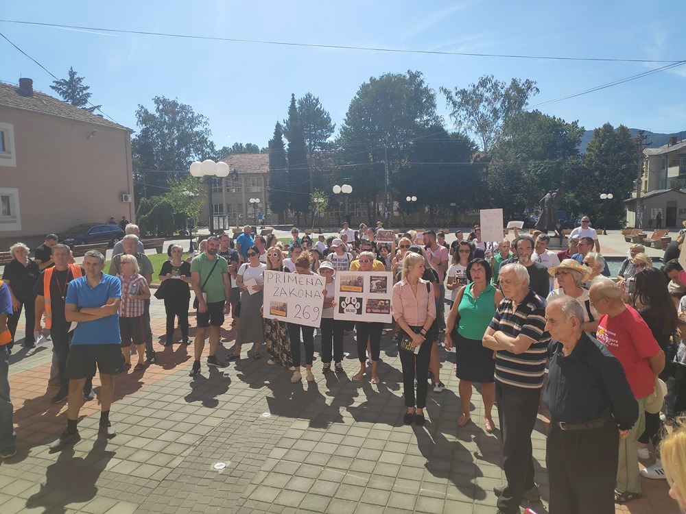 protest han 9