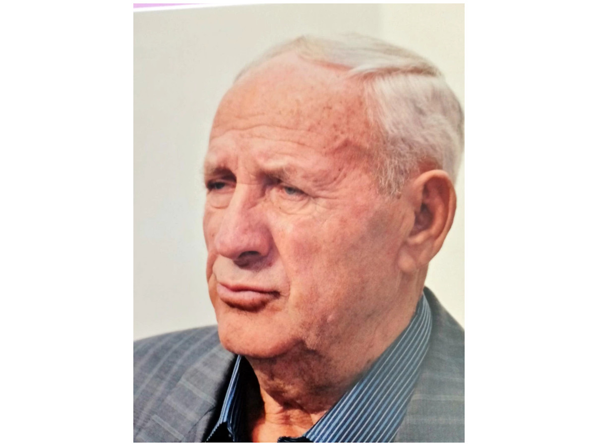 Nestao Svetislav Radojicic