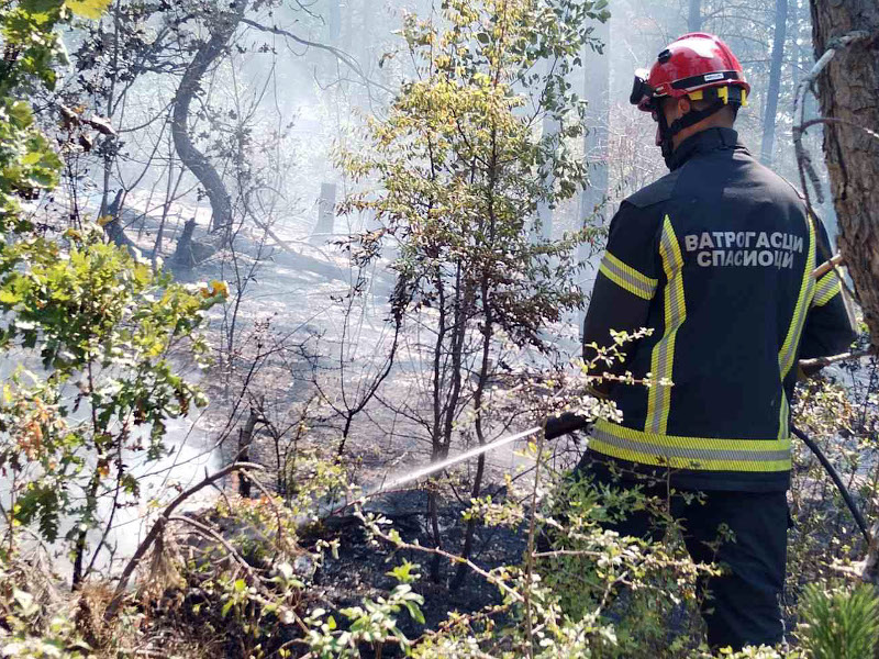 vatrogasci pozar presevo foto mup 5