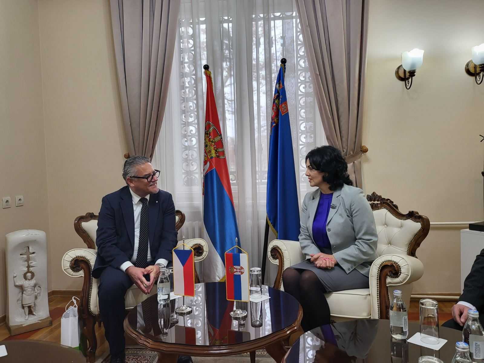 ambasador ceske