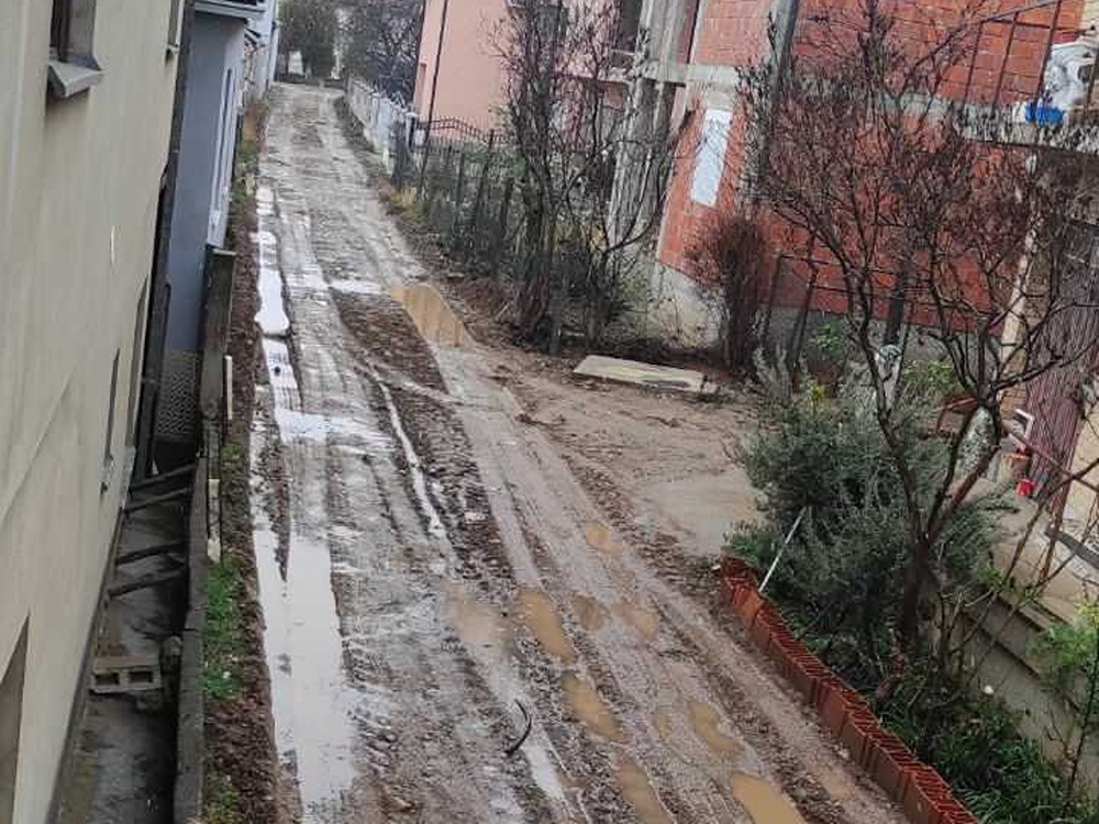despotovacka 2