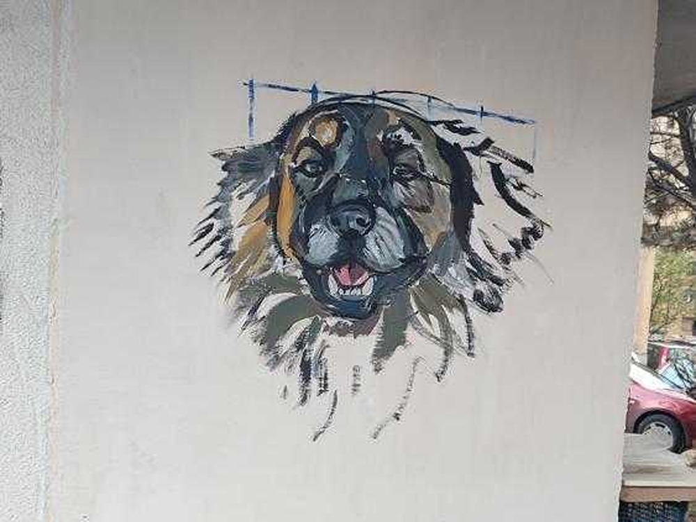 mural meda 2