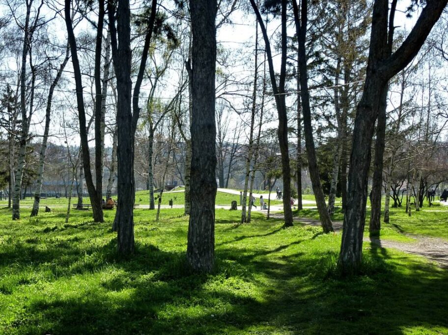 Park Cair