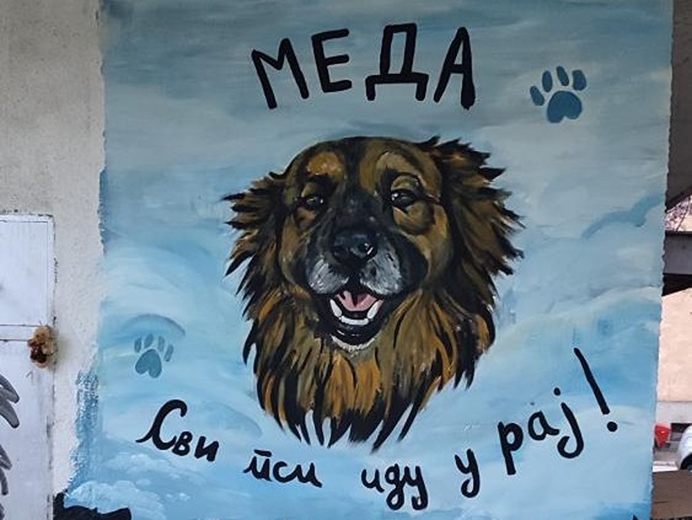meda mural 6 1 1