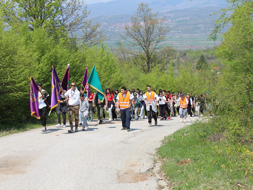 Omorika sadnja 2