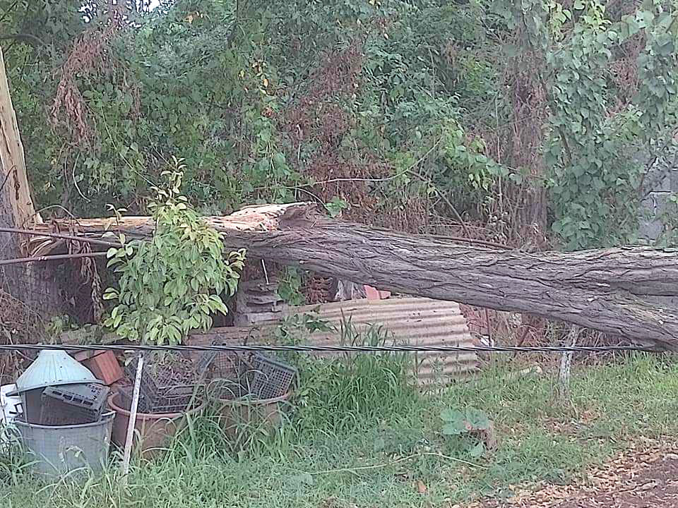 Oluja i struja2 foto Z F