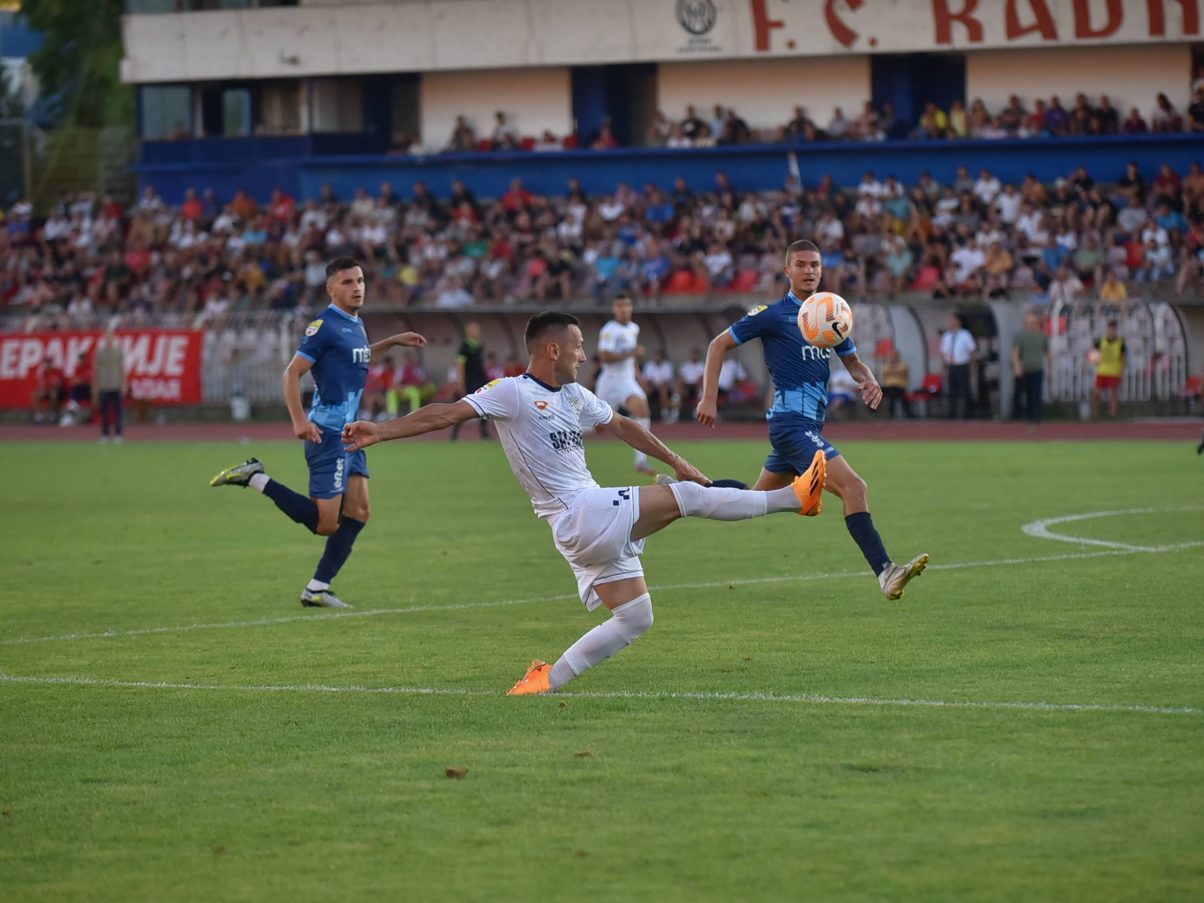 radnicki tsc nis foto jelena misic