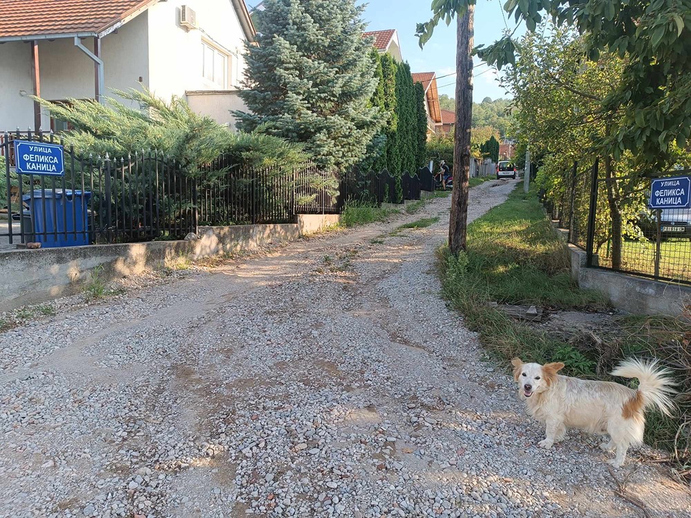 dv blokada 8