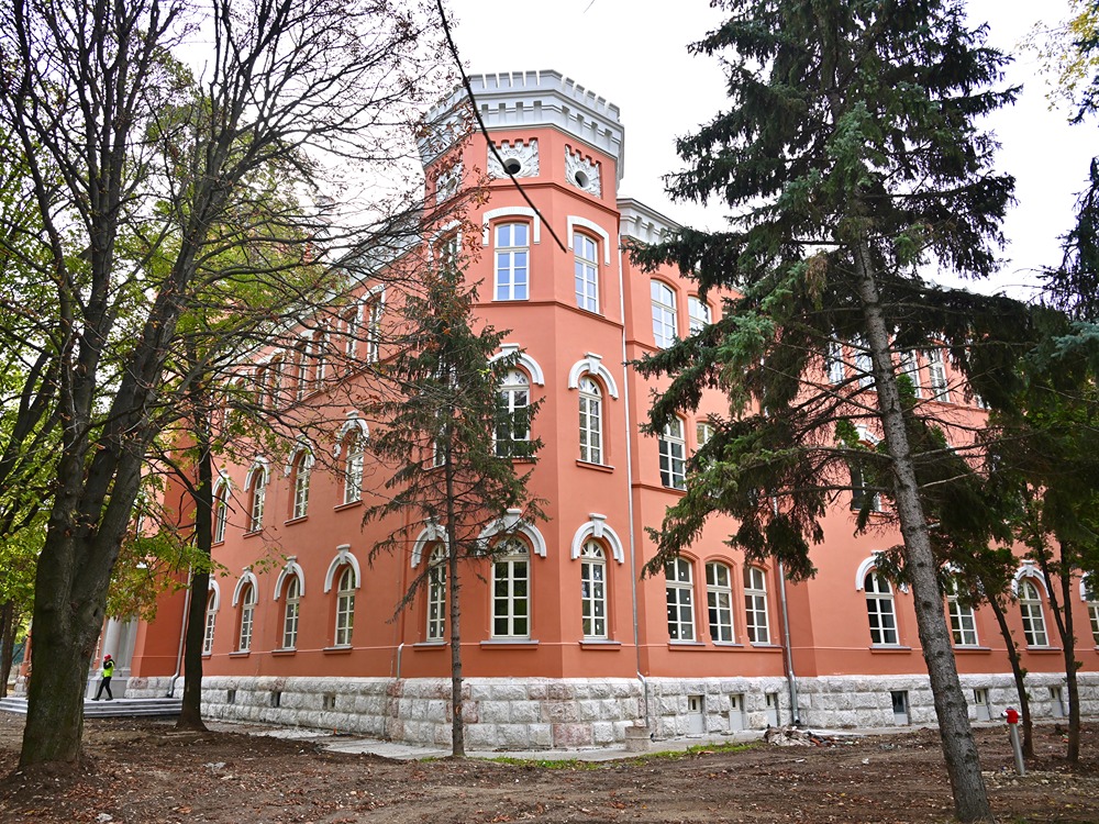 image00009