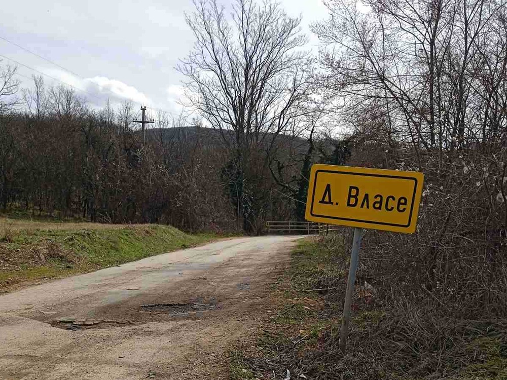 donje vlase 2