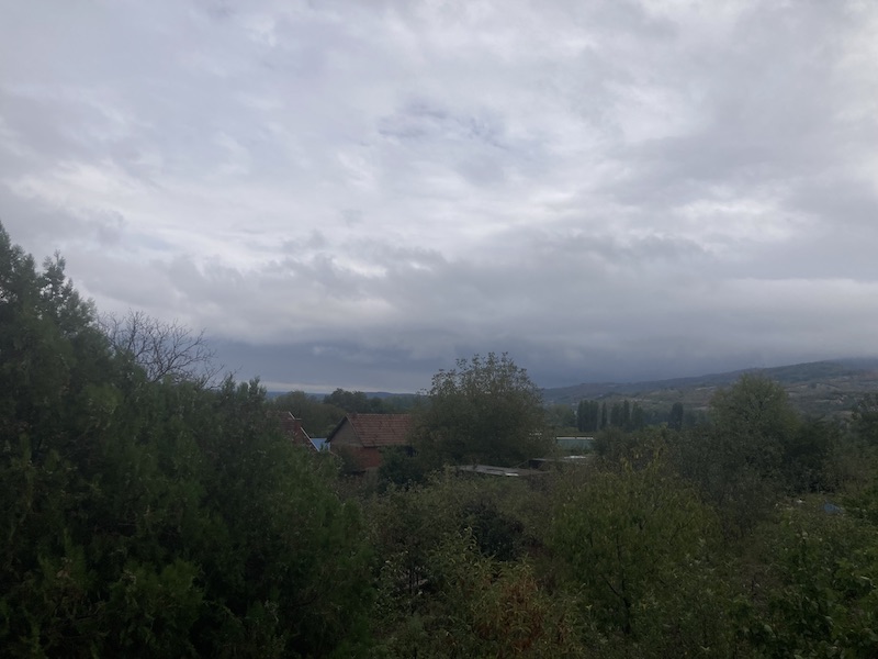 IMG 1587